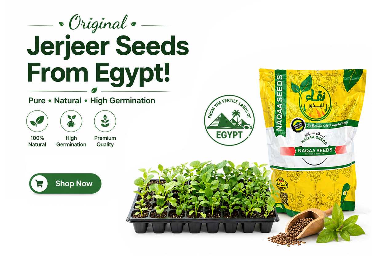 Jer jeer Seeds