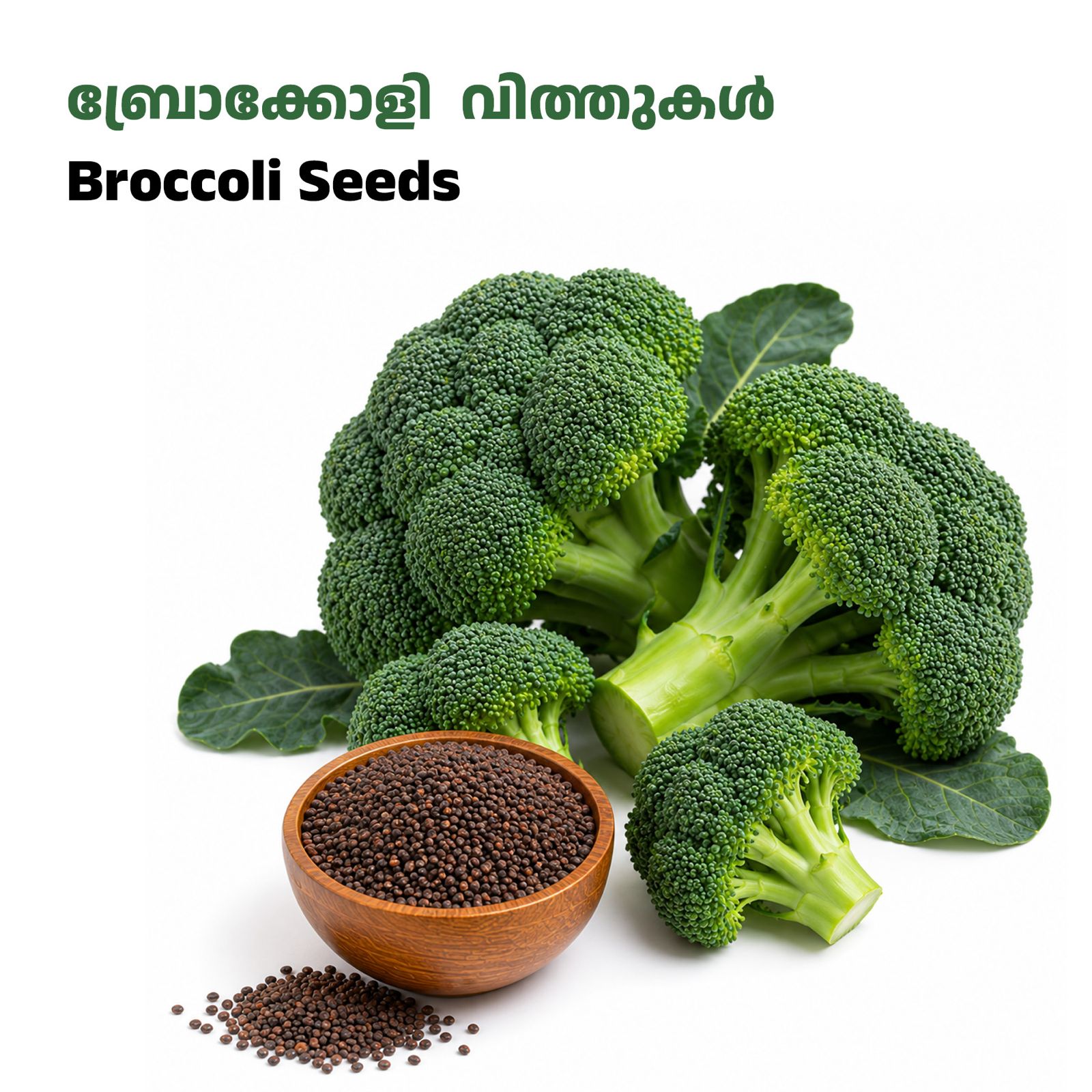 Broccoli Seeds-ബ്രോക്കോളി വിത്തുകൾ