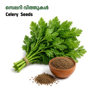 Celery Leaves Seed-സെലറി ഇല വിത്തുകൾ