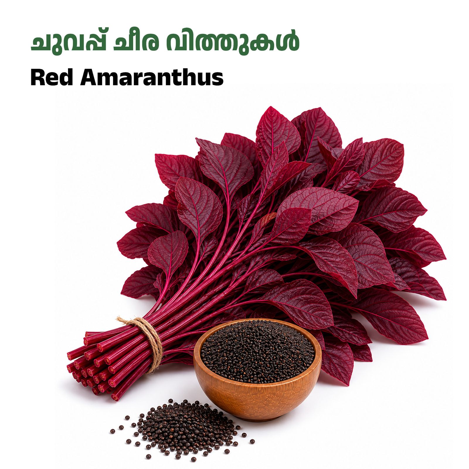 Red Amaranthus-ചുവപ്പ് ചീര
