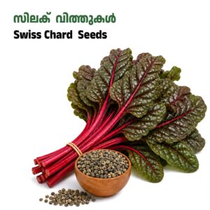 Swiss Chard-സിലക് /സ്വിസ്ചാഡ്