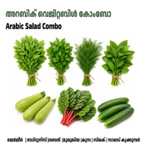 Arabic Vegitable Seed Combo