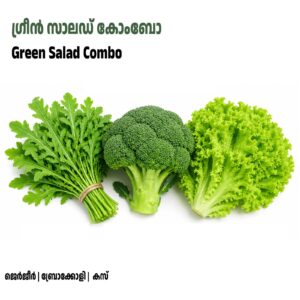 Green Salad Seeds Combo