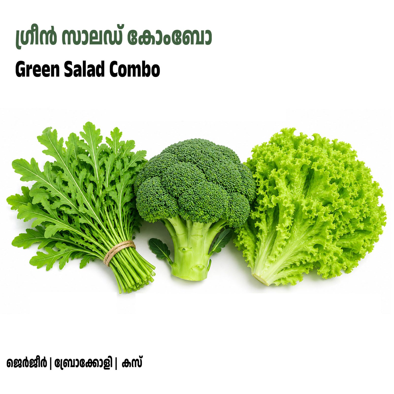 Green Salad Seeds Combo