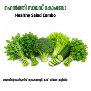 Healthy Salad Seeds Combo