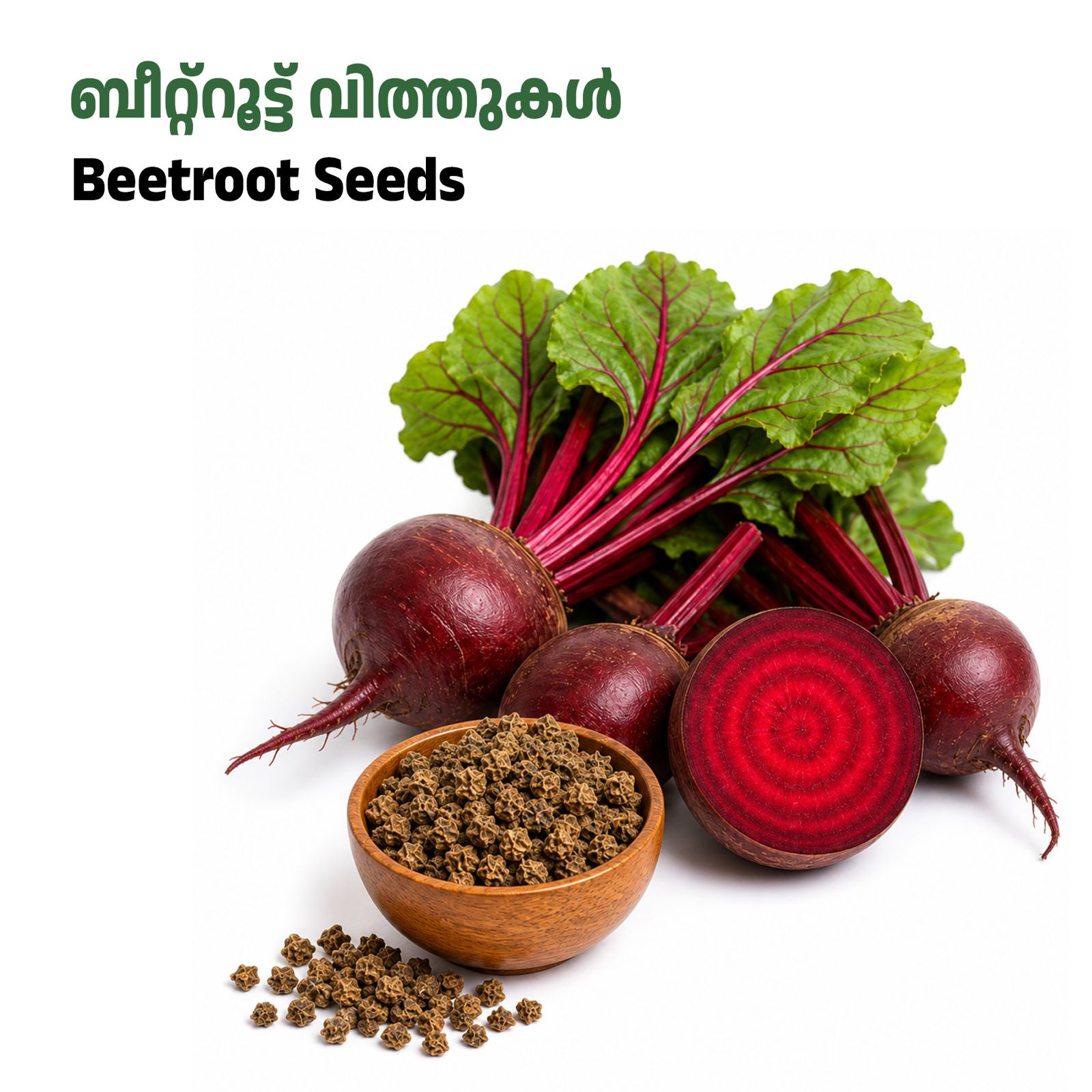 Beetroot Seeds-ബീറ്റ്റൂട്ട് വിത്തുകൾ