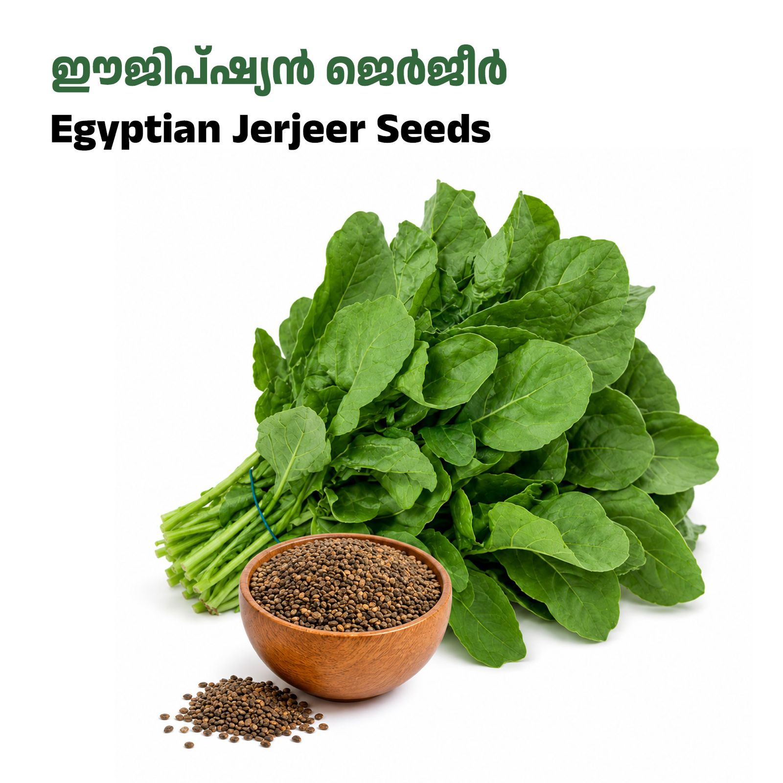 Pack of 1500+ Jarjeer Seed /ഈജിപ്ഷ്യൻ ജെർജീർ വിത്തുകൾ