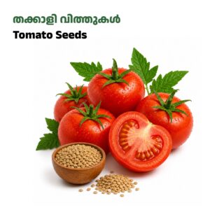 tomato Seeds-തക്കാളി വിത്തുകൾ