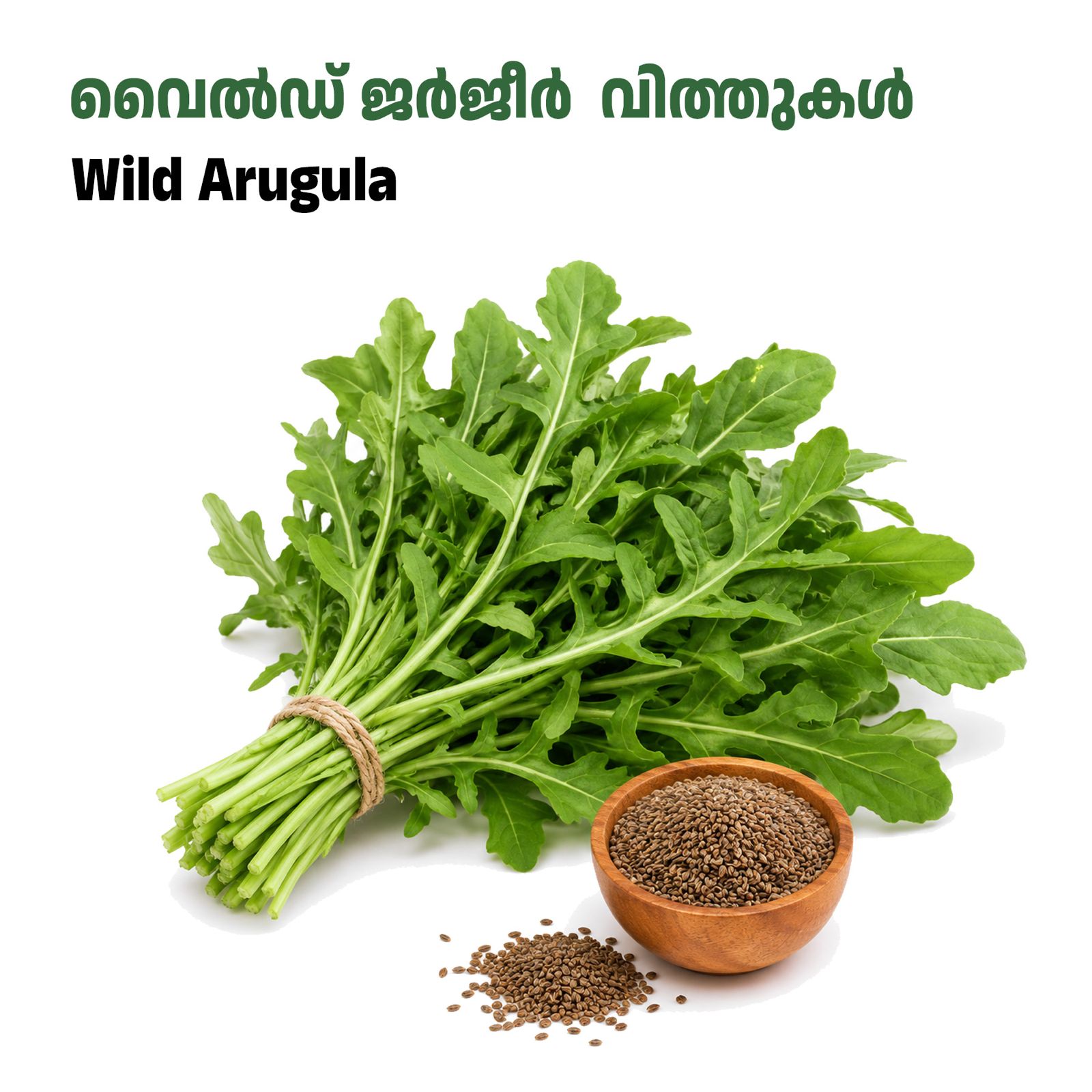 wild Jarjeer  Seeds-ജെർജീർ വൈൽഡ്